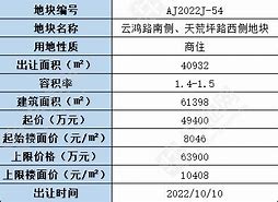 湖州安吉县新挂牌宗商住地商业与居住的和谐共生