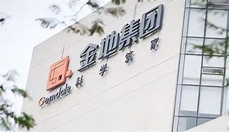 金地集团稳健财务策略下的资金管理与债务偿付能力分析