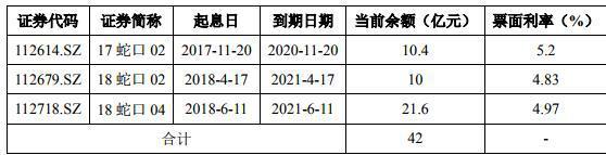 招商蛇口亿元小公募已获受理，正申报租赁住房基础设施公募市场影响与产业发展分析