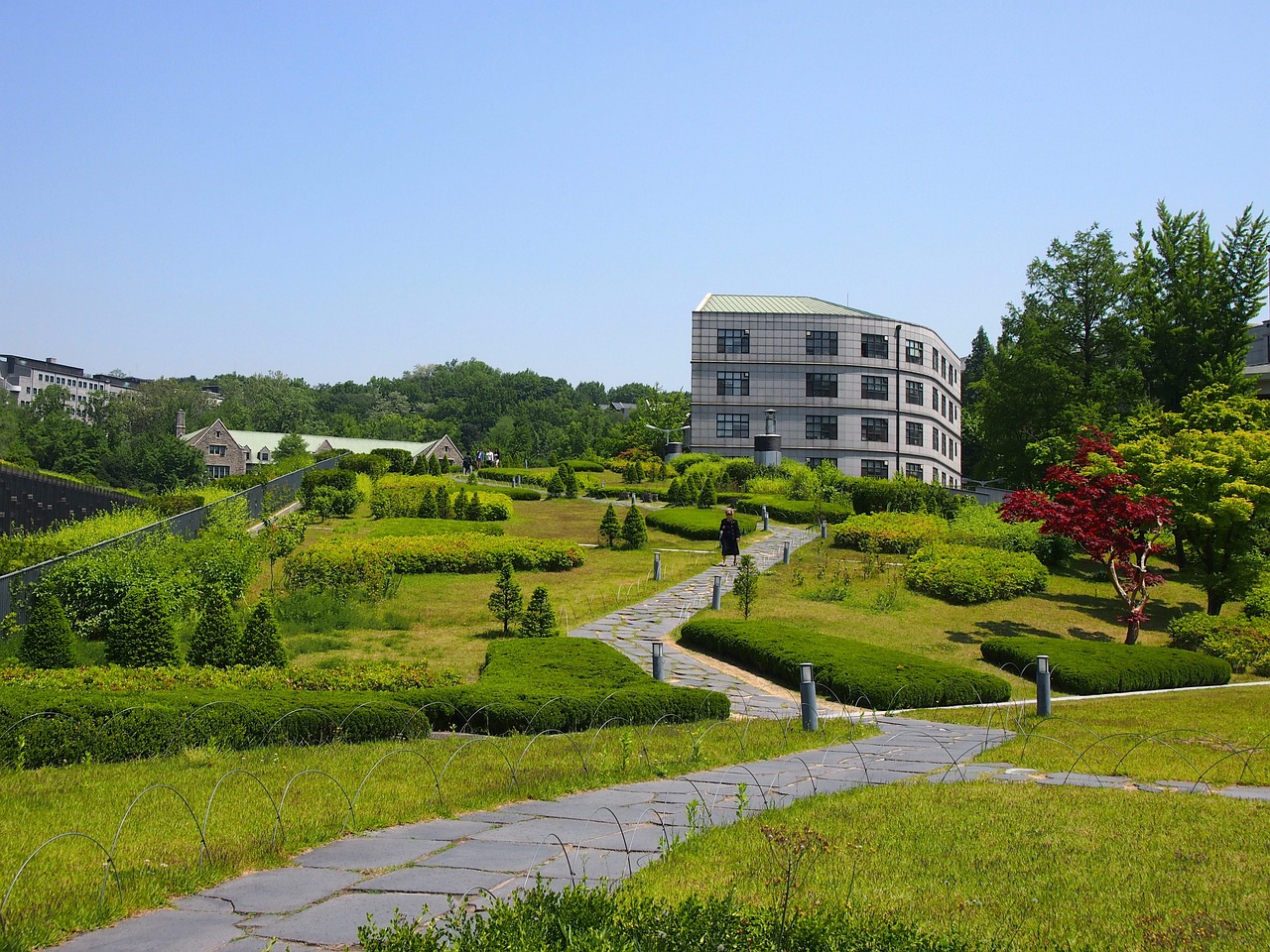 烟台大学韩国留学(烟台大学出国留学项目韩国的有3+1吗)