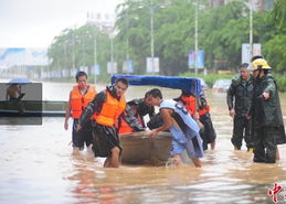 吉林蛟河强降雨逾万人受灾道路电力设施正抢修