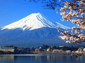 楼体遮挡富士山景观，东京都层公寓建成也得拆