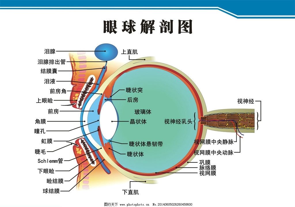 中国大百科全书解释分类(中国大百科全书资本主义)