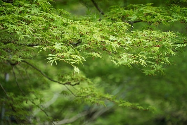 中通客车最新消息