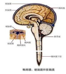 怎么进青云问答(怎么连接游戏手柄)