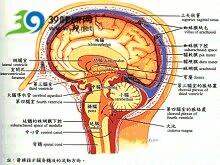 考研寄宿基地昆明有吗(考研寄宿机构收费吗)