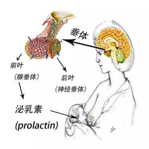 亿信科技的苹果手机怎么样