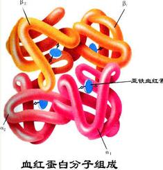 80后可以考研吗