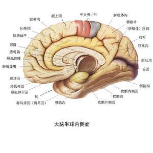 乘飞机保险怎么收费