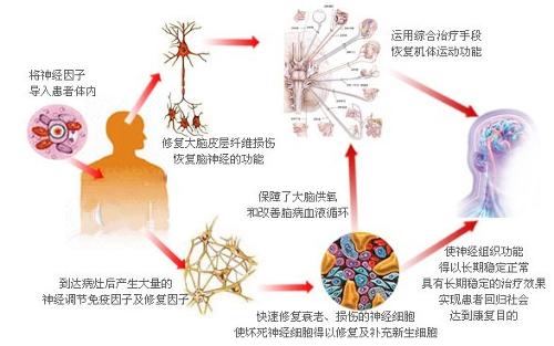 余额宝怎么替换基金