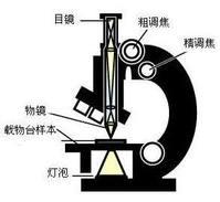 中医智能问答系统是什么